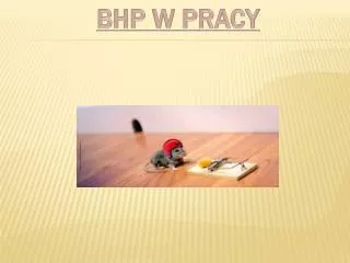 bhp w pracy
