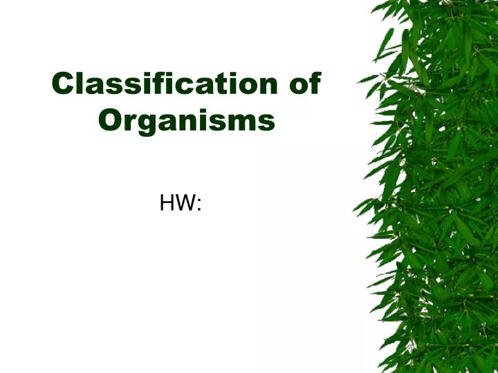 classification of organisms