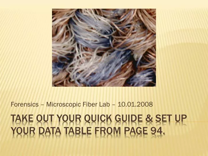 forensics microscopic fiber lab 10 01 2008