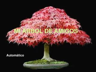 mi rbol de ami gos