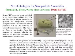 Novel Strategies for Nanoparticle Assemblies
