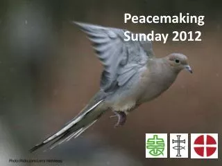Peacemaking Sunday 2012