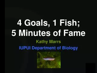 4 Goals, 1 Fish; 5 Minutes of Fame