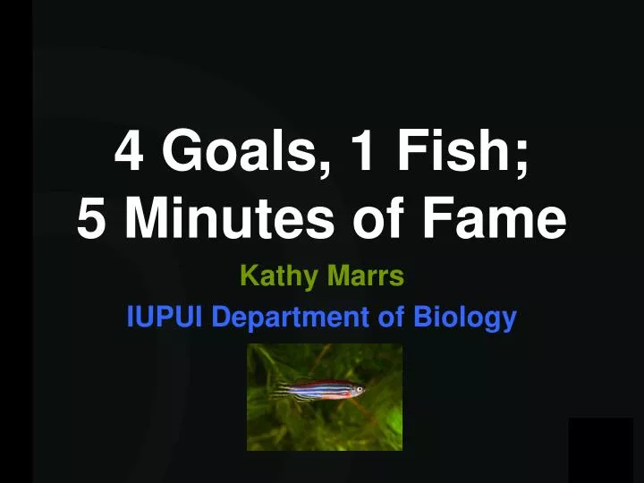 4 goals 1 fish 5 minutes of fame