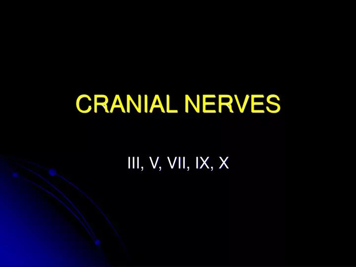 cranial nerves