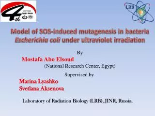 By Mostafa Abo Elsoud (National Research Center, Egypt)