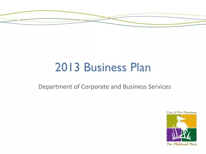 2013 business plan