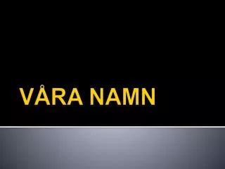 v ra namn