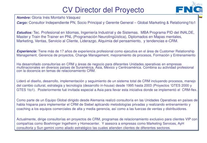 cv director del proyecto