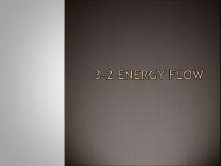 3-2 Energy Flow