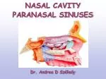 NASAL CAVITY PARANASAL SINUSES - slide 1