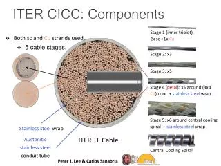 ITER CICC: Components