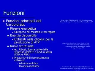 funzioni