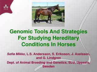 Genomic Tools And Strategies For Studying Hereditary Conditions In Horses
