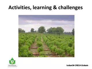 Activities, learning &amp; challenges