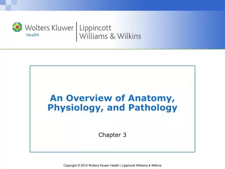 an overview of anatomy physiology and pathology