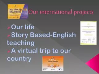 Our international projects