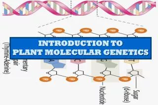 INTRODUCTION TO PLANT MOLECULAR GENETICS