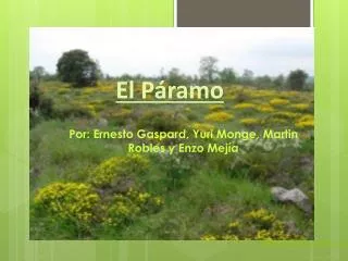 el p ramo