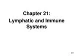Chapter 21: Lymphatic and Immune Systems
