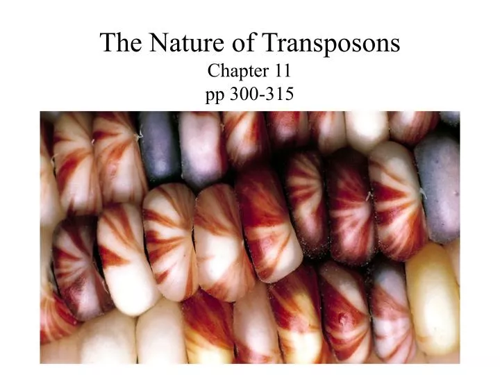 the nature of transposons chapter 11 pp 300 315
