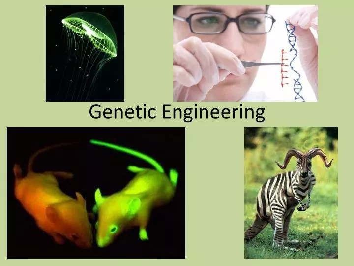 genetic engineering