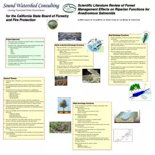 Scientific Literature Review of Forest