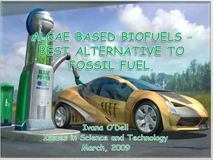algae based biofuels best alternative to fossil fuel