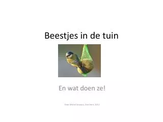 beestjes in de tuin