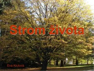 strom ivota