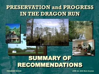 PRESERVATION and PROGRESS IN THE DRAGON RUN SUMMARY OF RECOMMENDATIONS