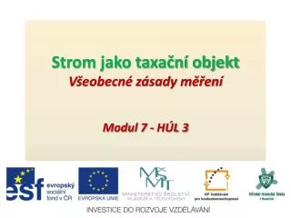 strom jako taxa n objekt v eobecn z sady m en