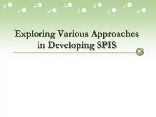 exploring various approaches in developing spis