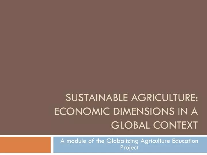 sustainable agriculture economic dimensions in a global context