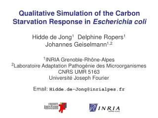 Qualitative Simulation of the Carbon Starvation Response in Escherichia coli