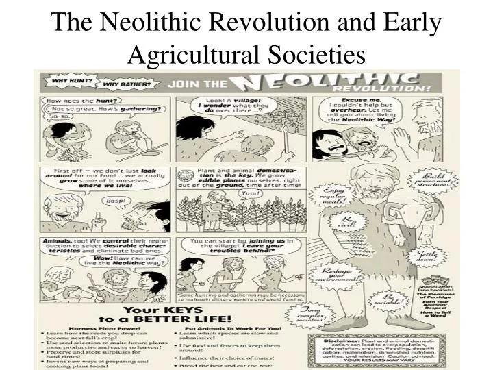 the neolithic revolution and early agricultural societies