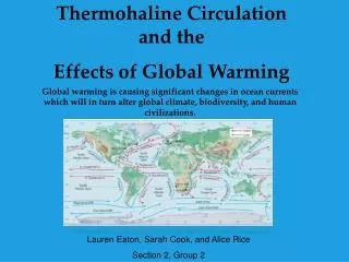Thermohaline Circulation and the Effects of Global Warming