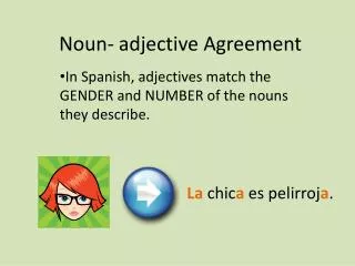 Noun- adjective Agreement