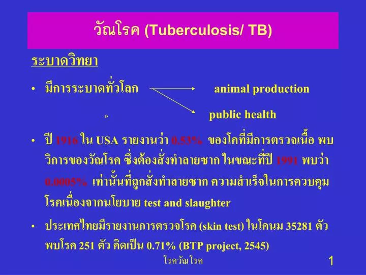 tuberculosis tb