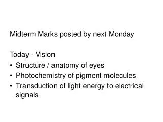 Midterm Marks posted by next Monday Today - Vision Structure / anatomy of eyes