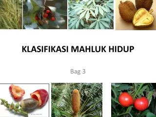 klasifikasi mahluk hidup