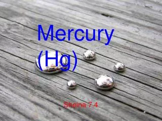 Mercury (Hg)