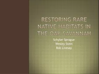 Restoring Rare Native Habitats in the Oak Savannah