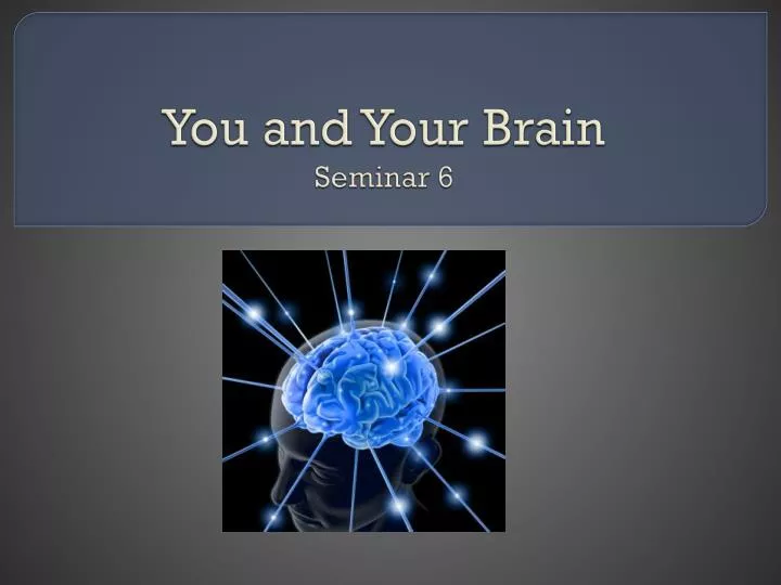 you and your brain seminar 6
