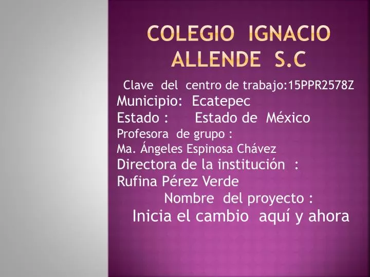 colegio ignacio allende s c