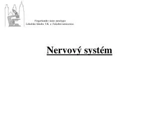 nervov syst m
