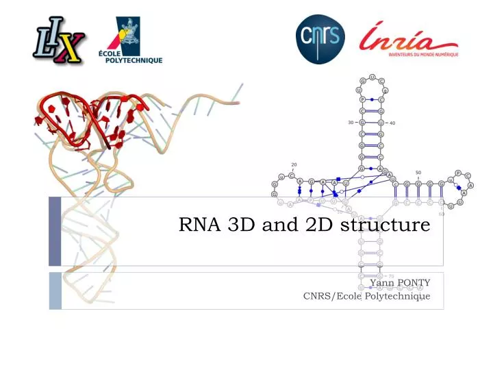 rna 3d and 2d structure
