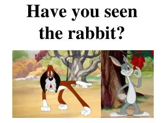 Have you seen the rabbit?