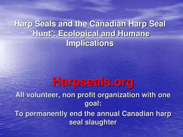 harp seals and the canadian harp seal hunt ecological and humane implications