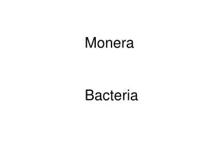 Monera Bacteria